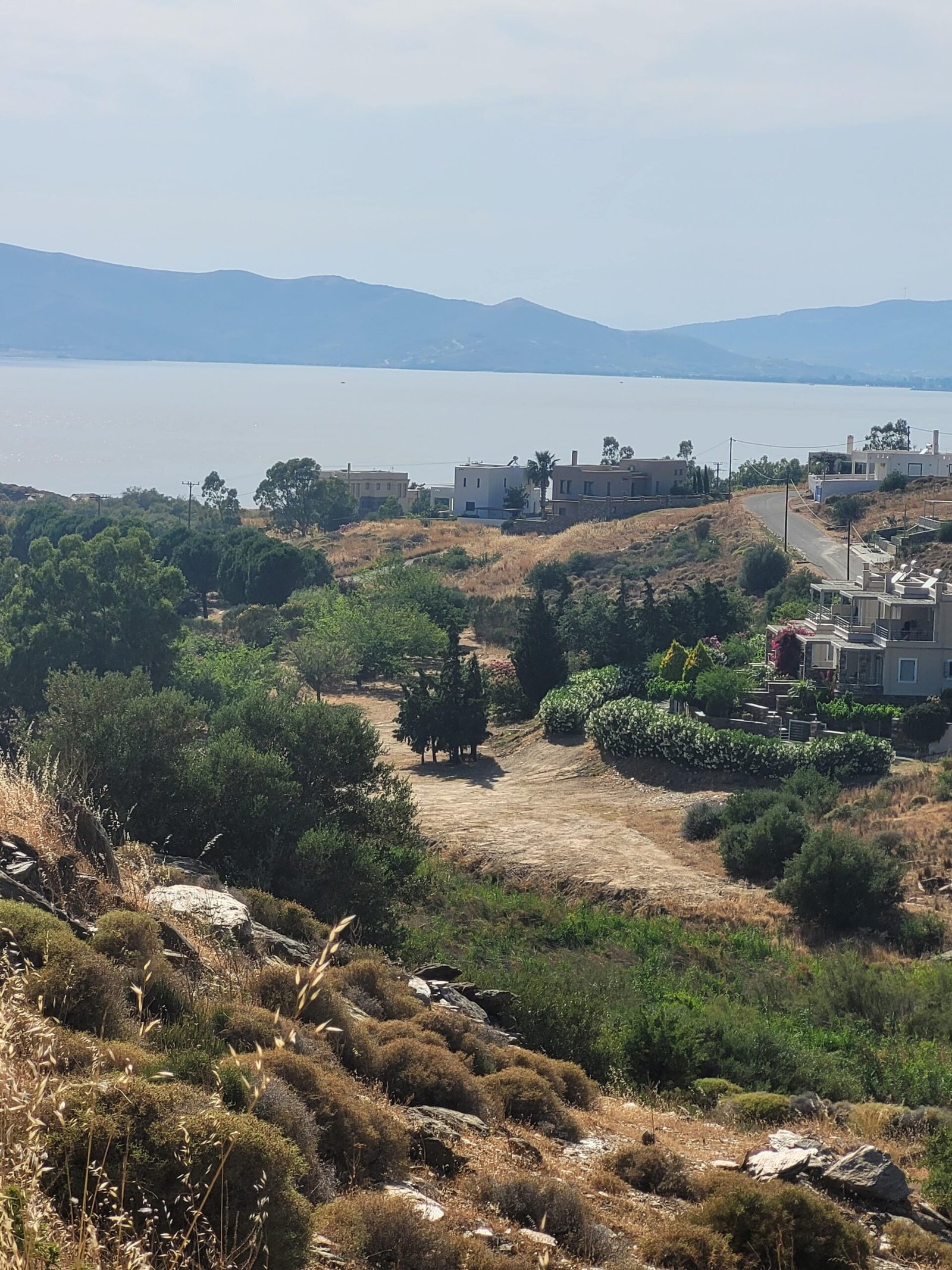 From Investor to Resident: Mastering the Golden Visa Greece Program