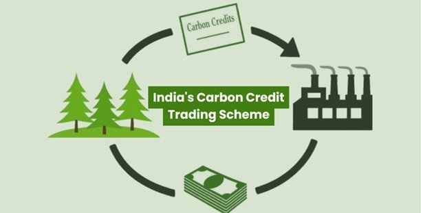 Why Carbon Credit Marketplace Platforms Need AI-Powered Verification Systems